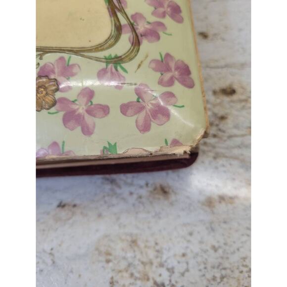 Antique Photograph Album, Celluloid Victorian, Cottage Scene, Wire Metal Holder - Picture 4 of 10